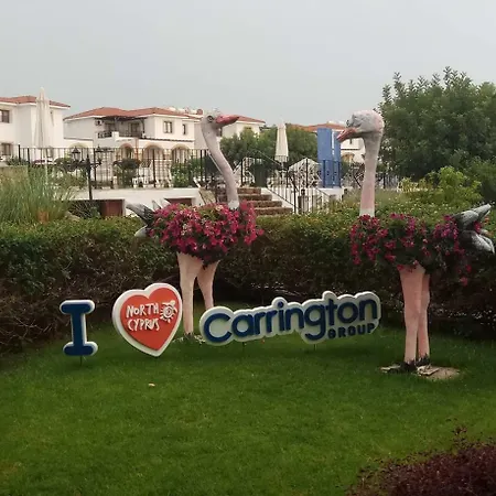 Apartment 1 1 Kering